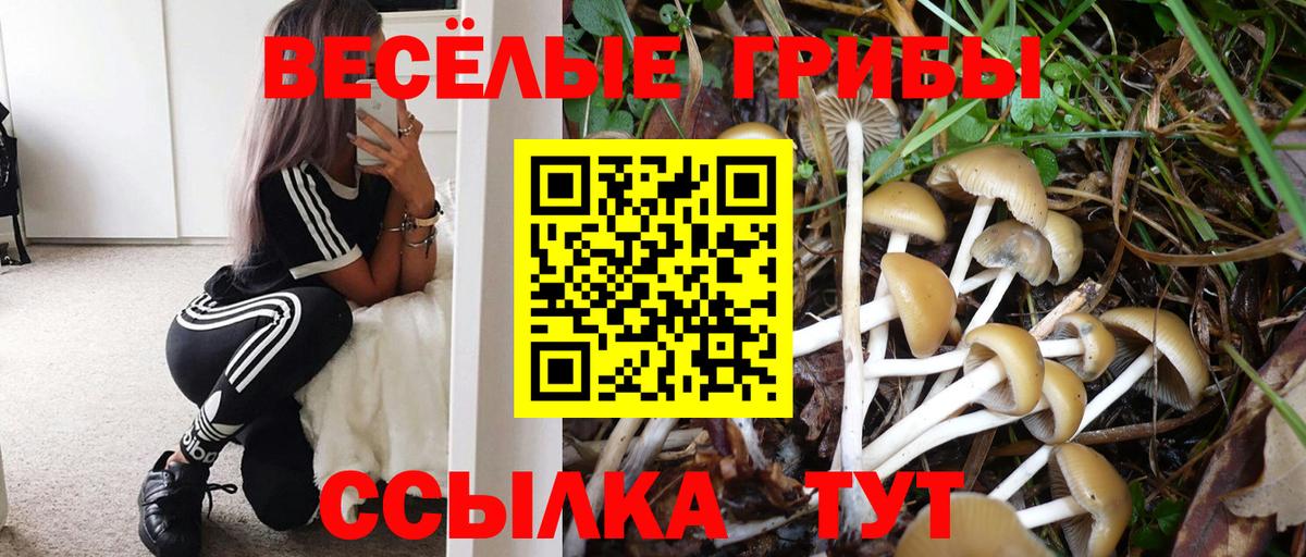 Псилоцибиновые грибы Psilocybine cubensis  Вход с VPN  Галлюциногенные грибы GOLDEN TEACHER  Дербент 